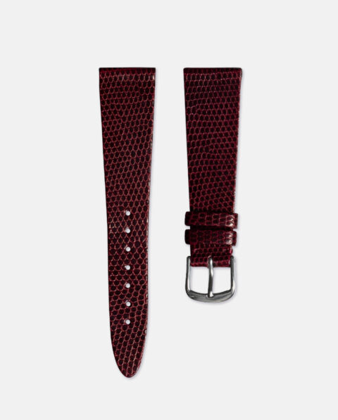 DG7 watch in steel with ruby in BURGUNDY for | Dolce&Gabbana® US